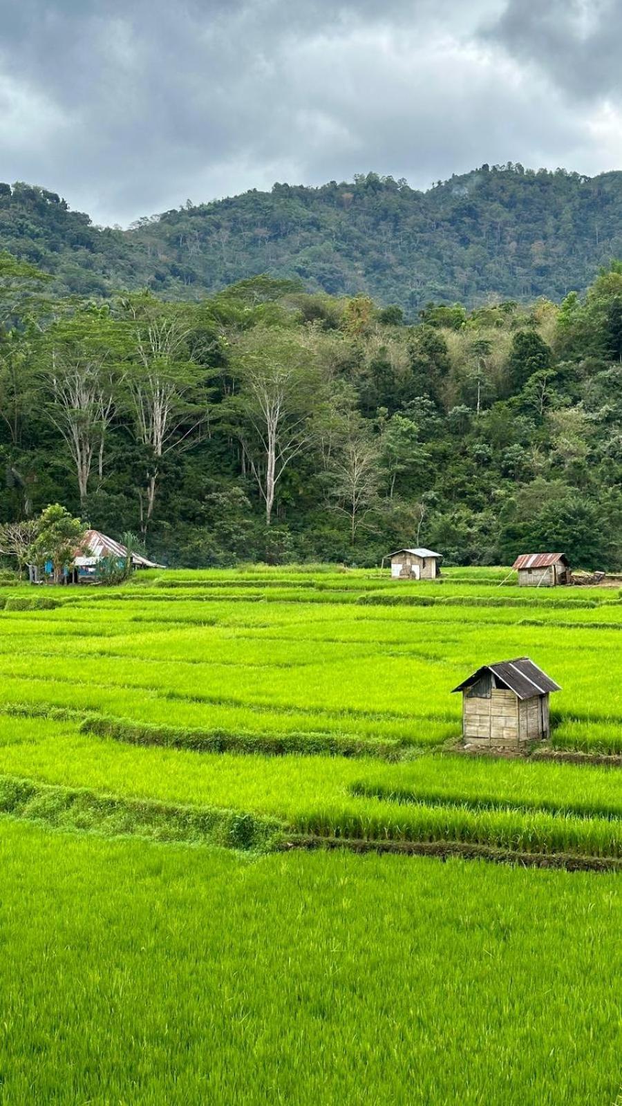 Petra Homestay Bangka Leda Ruteng Extérieur photo